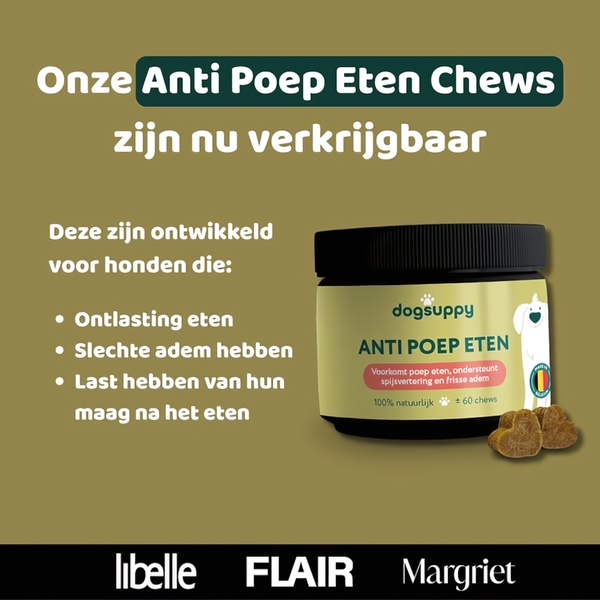 A 1:1 format ad creative for dog chews that addresses common pet health issues using a clear, benefit-driven list structure.
